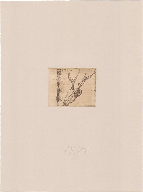 Joseph Beuys, Tränen mit Hirschschädel